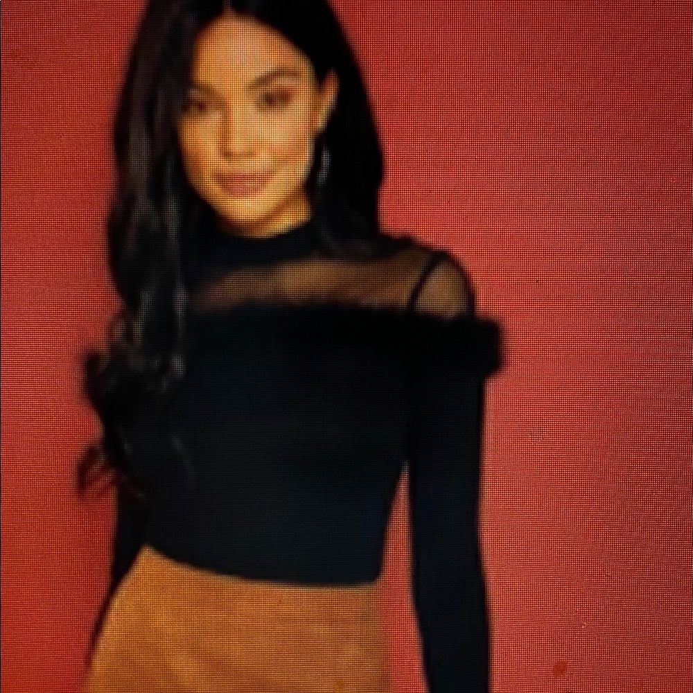 Faux Fur lined sheer top